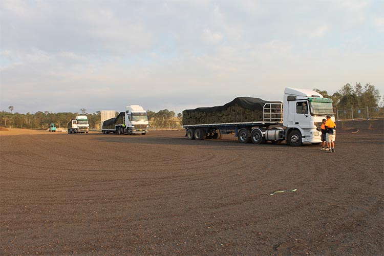 Commercial Turfing Sydney