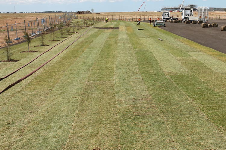 Turfing of Mass Areas